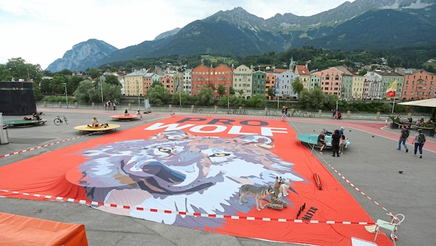 Der Verein gegen Tierfabriken demonstrierte am Freitagnachmittag am Marktplatz Innsbruck (Bild: Birbaumer Christof)