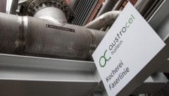 AustroCel könnte verkauft werden. (Bild: Tröster Andreas)