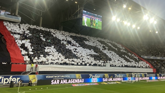 Die Fans des LASK (Bild: Franz Hollauf)