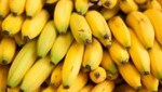 Die Mathy GmbH betreibt auch eine eigene Bananenreiferei. (Bild: haitaucher39 - stock.adobe.com)