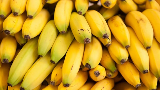 Die Mathy GmbH betreibt auch eine eigene Bananenreiferei. (Bild: haitaucher39 - stock.adobe.com)