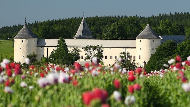 Ein 41-Jähriger kaufte dem Land Niederösterreich jetzt Schloss Ottenschlag ab. Er hat damit viel vor. (Bild: Waldviertel Tourismus/Martin Rehberger)