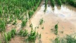 Immer häufiger und heftiger prasseln in Österreich Unwetter nieder. Die Schäden sind hoch. (Bild: ÖHV)