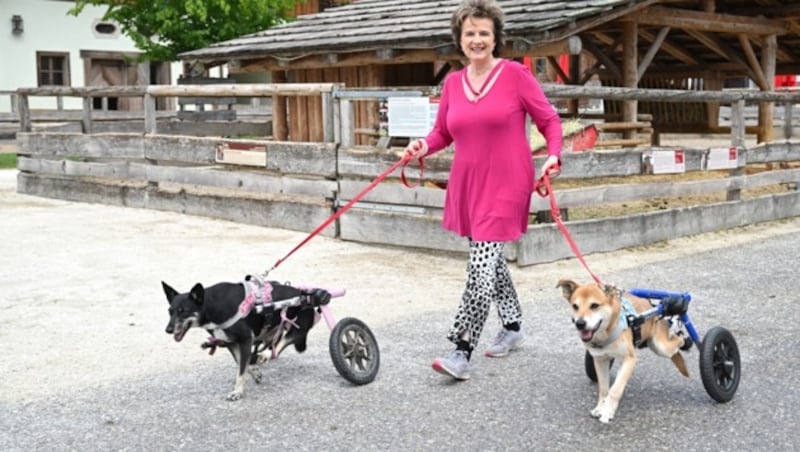 Schlagerstar Monika Martin stattete Gut Aiderbichl einen Besuch ab. (Bild: KERSTIN JOENSSON)