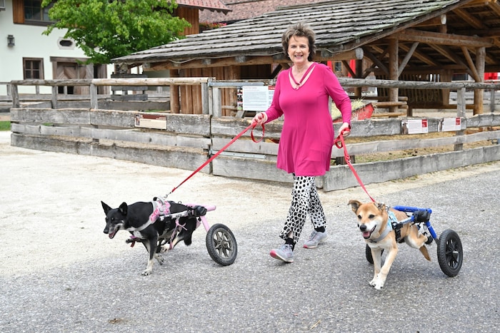 Schlagerstar Monika Martin stattete Gut Aiderbichl einen Besuch ab.