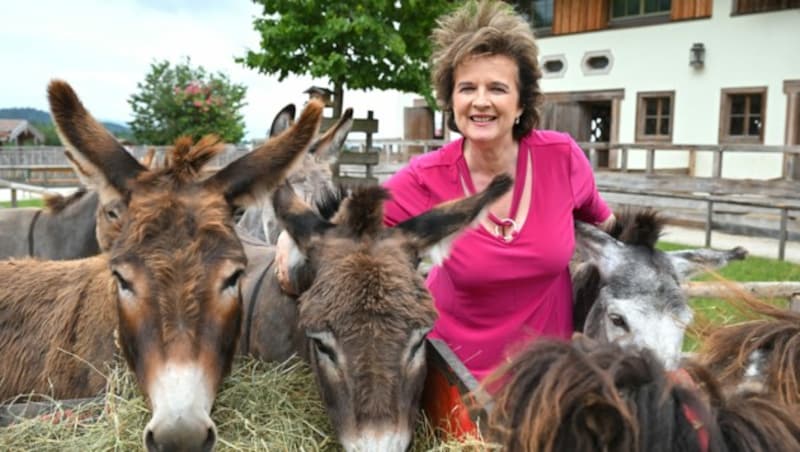 Martin setzt sich schon seit langer Zeit aktiv für den Tierschutz ein. (Bild: KERSTIN JOENSSON)