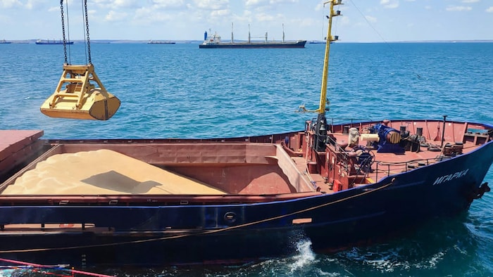 Ukraine möchte Getreide nun über Kroatiens Adriahäfen exportieren.