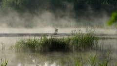 Gelingt es, für den Naturpark 10.000 Euro zu sammeln, erhöht die Stadt Schrems ihre Förderung ebenfalls um 10.000 Euro. (Bild: Alois Litzlbauer)