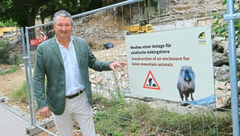 Die Stelle, die für das neue Aquarienhaus reserviert war, ist schon durch ein neues Gehege für asiatische Gebirgstiere belegt. (Bild: Tomschi Peter)