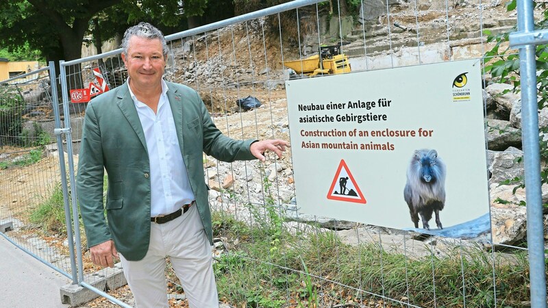 Eine von Hering-Hagenbecks ersten Amtshandlungen in Schönbrunn vor drei Jahren: das fixfertige Aquarien-Projekt seiner Vorgängerin verunmöglichen, indem er an der dafür reservierten Stelle eine „Anlage für asiatische Gebirgstiere“ errichten ließ. (Bild: Tomschi Peter)