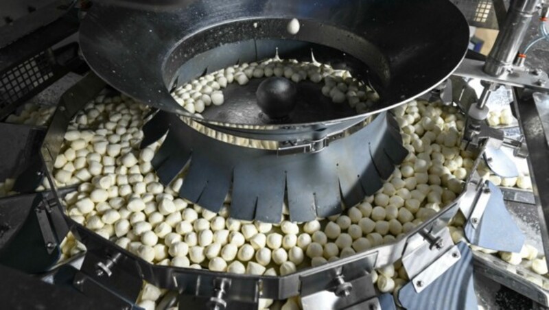 In Rohrbach, Wels, Geinberg und Feldkirchen bei Mattighofen, wo unter anderem Mozzarella (siehe Foto) hergestellt wird, betreibt die Berglandmilch in Oberösterreich Werke. (Bild: Markus Wenzel)