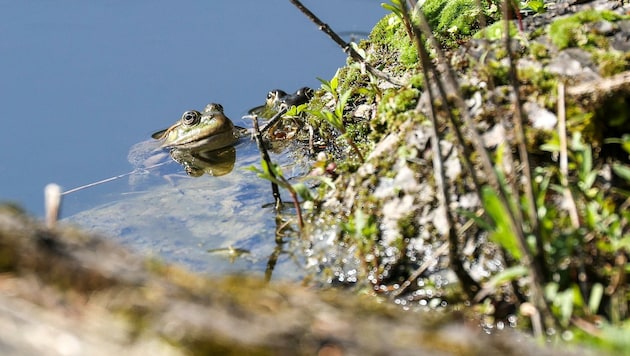 (Bild: Tröster Andreas)