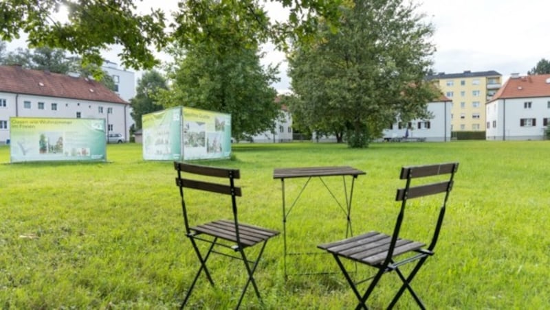 Auf dieser Wiese entstehen die Wohnungen für die Bestandsmieter. Außen werden die teureren Appartements gebaut (Bild: Berger Susi)