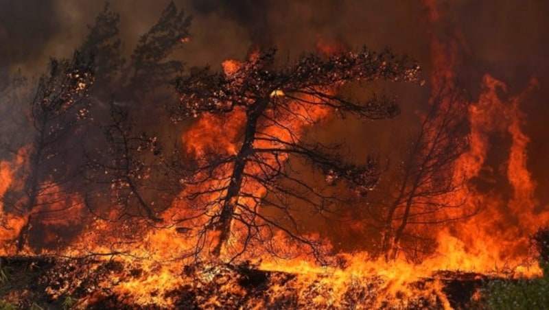 Oft führt fahrlässiges Handeln mit Feuer zu gefährlichen Waldbränden in Griechenland. Aber auch Brandstiftung spielt eine Rolle. (Bild: AP)