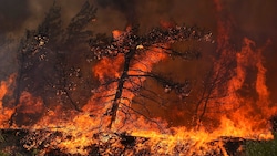 Oft führt fahrlässiges Handeln mit Feuer zu gefährlichen Waldbränden in Griechenland. Aber auch Brandstiftung spielt eine Rolle. (Bild: AP)