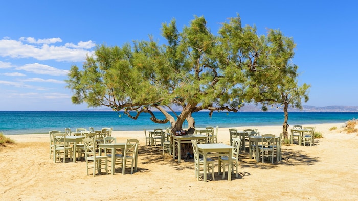 typische Taverne direkt am Meer