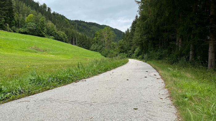 Ab Wieting verläuft statt der Bahn ein Radweg.
