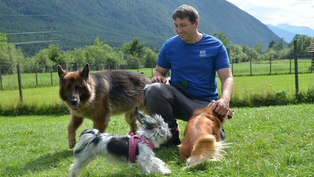 Die Hunde lieben wie Betreuer Albin Krieglsteiner die Spielwiese, auf der es offensichtlich keinen Rassismus gibt. (Bild: Daum Hubert)