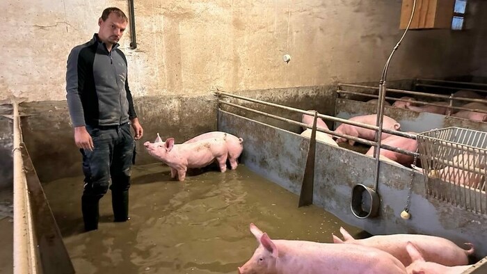 Der Stall von Bauer Johannes Neubauer steht unter Wasser.