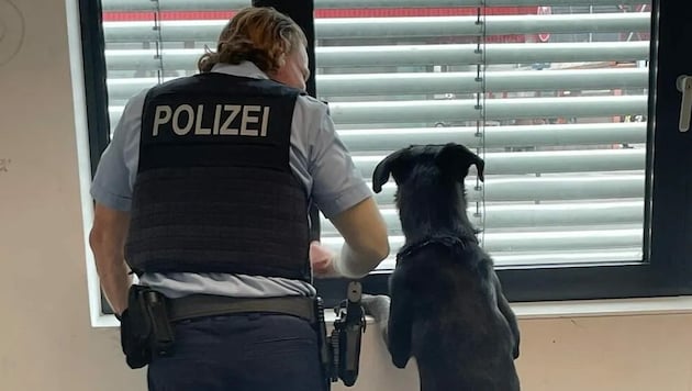 Ein Hund ist am Freitag alleine mit dem Zug von Erftstadt in die etwa 15 Minuten entfernte deutsche Stadt Köln gefahren. Dort empfing die Polizei den Ausreißer. (Bild: Bundespolizei Deutschland)