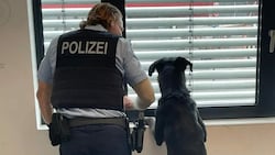 Ein Hund ist am Freitag alleine mit dem Zug von Erftstadt in die etwa 15 Minuten entfernte deutsche Stadt Köln gefahren. Dort empfing die Polizei den Ausreißer. (Bild: Bundespolizei Deutschland)