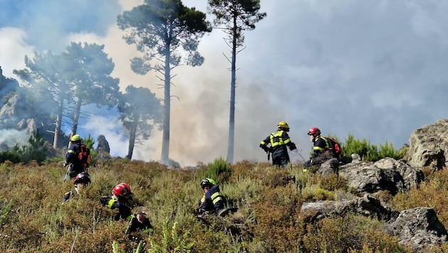 Nach der Übersetzung von Marseille auf die Insel Korsika kämpften Niederösterreichs Freiwillige gegen Entstehungsbrände. (Bild: Landesfeuerwehrband Niederösterreich)