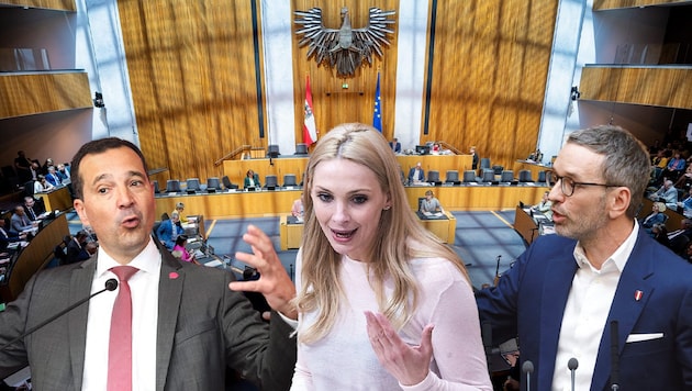 Gerald Loacker (Neos, links) hält die meisten Reden, Philippa Beck die wenigsten. FPÖ-Chef Herbert Kickl ist der „redefaulste“ Klubobmann. (Bild: APA/GEORG HOCHMUTH, APA-picturedesk(2), Reuters, Krone KREATIV)