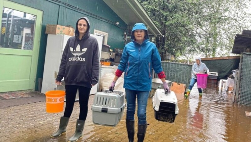 Jennifer Kaiser und Kerstin Schwabe mit den ersten geretteten Kaninchen. (Bild: Hronek Eveline)