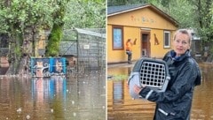 Auch das Tierheim Garten Eden wurde vom Starkregen hart getroffen. (Bild: EVELYN HRONEK)