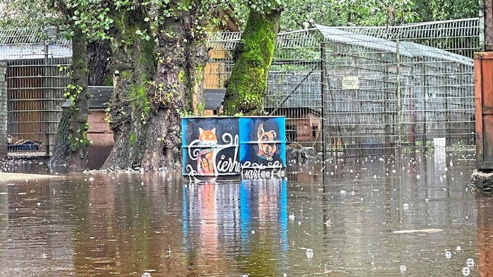 Die Zwinger sind alle überschwemmt.