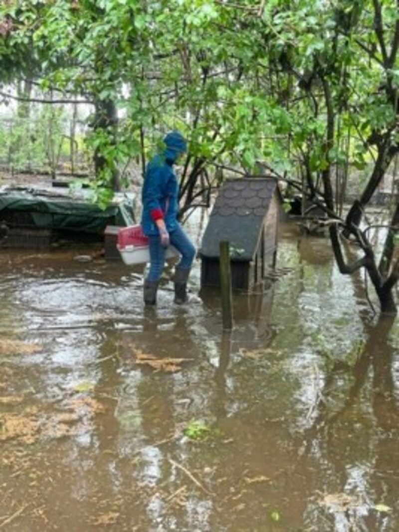 Die Kaninchenhäuser stehen alle unter Wasser. (Bild: Hronek Eveline)