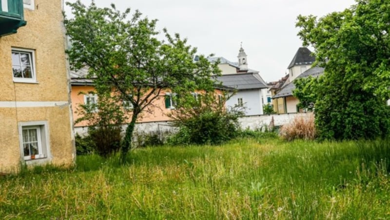 Auf dieser Wiese sollen Wohnungen entstehen (Bild: Tschepp Markus)