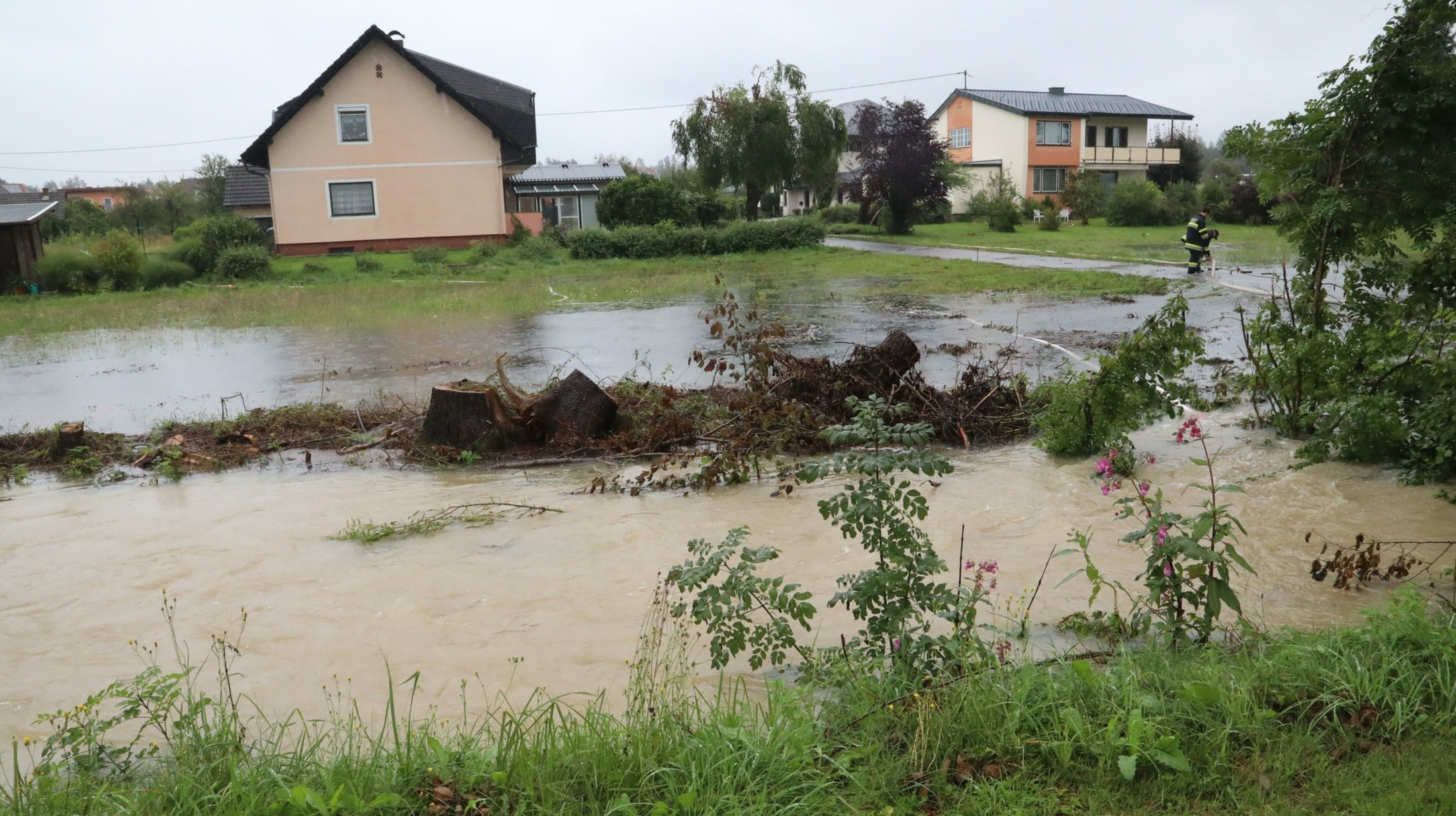 Der Seebach geht fast nahtlos auf die Wiese über.