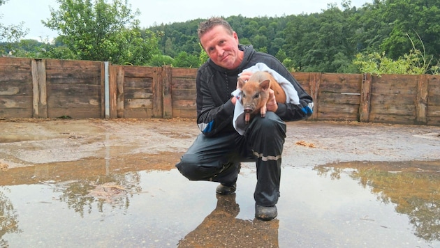 Unwetter schlugen bei „Purzel & Vicky“ erneut zu: Hier rettet Michael Stracke ein Schweinderl ...