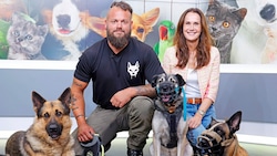 Im „Krone“-TV-Studio zeigte sich Problemhund „Rafi“ an der Seite von Maggie Entenfellner (li.) und Trainer Georg Resch von seiner besten Seite. (Bild: Reinhard HOLL)