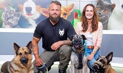 Im „Krone“-TV-Studio zeigte sich Problemhund „Rafi“ an der Seite von Maggie Entenfellner (li.) ...