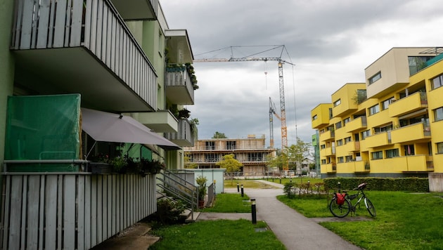 Die Salzburger Lanserhofsiedlung mit den Dienstwohnungen der SALK wird laufend erneuert. (Bild: Tschepp Markus)