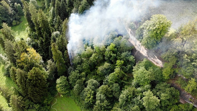 Das Feuer drohte sich auszubreiten. (Bild: Maurice Shourot)