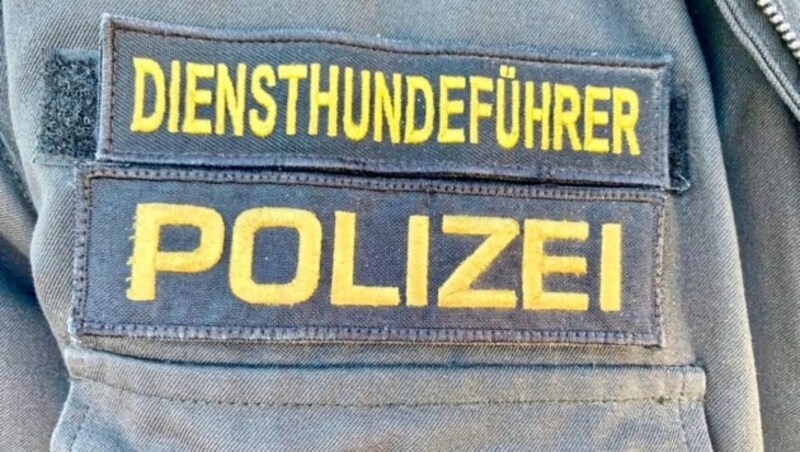 Ein Diensthund der Polizei entdeckte den Vermissten. (Bild: Christian schulter)