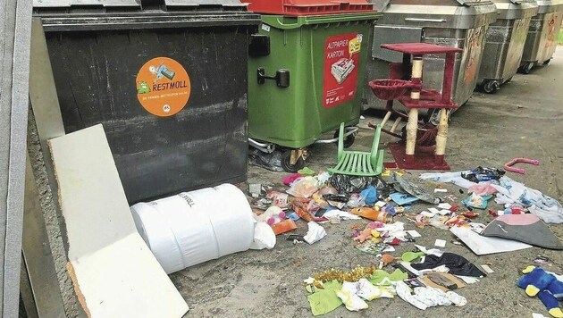 Desaströse Zustände herrschen auf den Müllplätzen einiger Gemeindebauten. Ratten fühlen sich hier wohl. (Bild: privat)