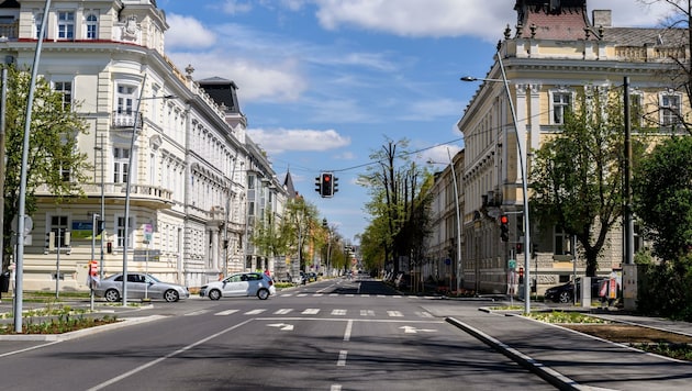 Die Ringstraße in Krems blühte im Frühling und Sommer auf: 55 neue Bäume und 21.000 Stück Pflanzen setzte man im Zuge der Erneuerung. Ein Projekt, das sich ausgezahlt hat. (Bild: ATTILA MOLNAR)