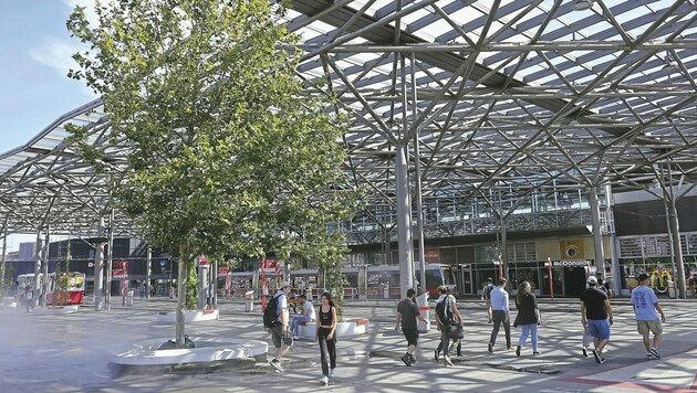 Zunehmende Gewaltdelikte und eine wachsende Drogenszene sorgen am Praterstern für gravierende Probleme. (Bild: Tomschi Peter)
