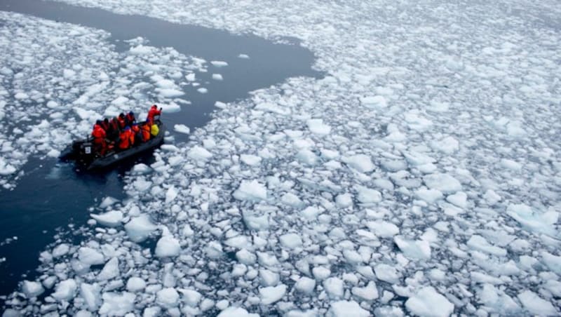 „Wenn es so weitergeht, wird es im Sommer gar kein Meereis mehr geben“, so Forscher beunruhigt. (Bild: Copyright 2023 The Associated Press. All rights reserved.)