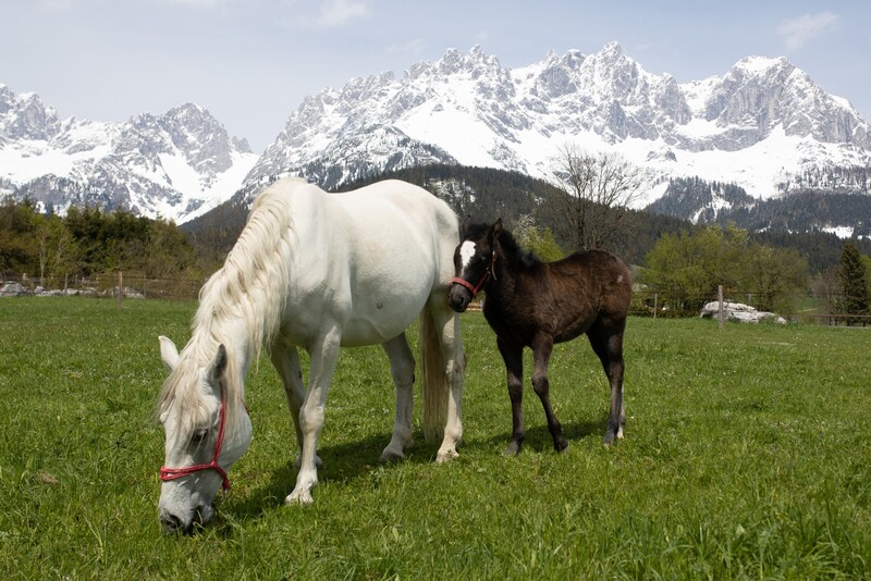 Diese Idylle wurde für Meyer-Landrut zur Urlaubs-Hölle. (Bild: APA/EXPA/JOHANN GRODER)