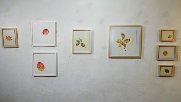 Fein aquarellierte Blätter stellt Isabel Mischka im Gastatelier der Altstadtgalerie her. (Bild: Tina Perisutti)
