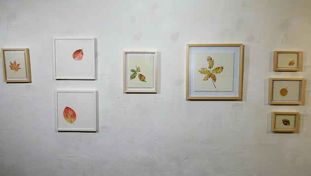 Fein aquarellierte Blätter stellt Isabel Mischka im Gastatelier der Altstadtgalerie her. (Bild: Tina Perisutti)
