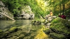 Dem Weg des Wassers folgen: Entlang des Wasserwanderweges durch das Höllental. (Bild: www.pov.at)