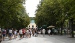 Im Tiergarten Schönbrunn kamen 2002 und 2005 eine Pflegerin sowie ein Pfleger ums Leben. Sie wurden von einem Jaguar beziehungsweise einem Elefanten attackiert. (Bild: P. Huber)