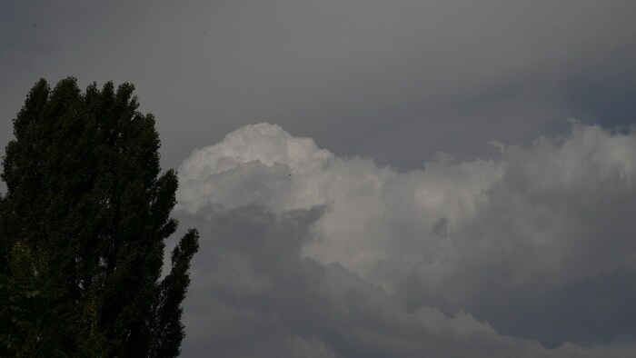 Die Bewölkung am Himmel bleibt die Woche über hartnäckig.