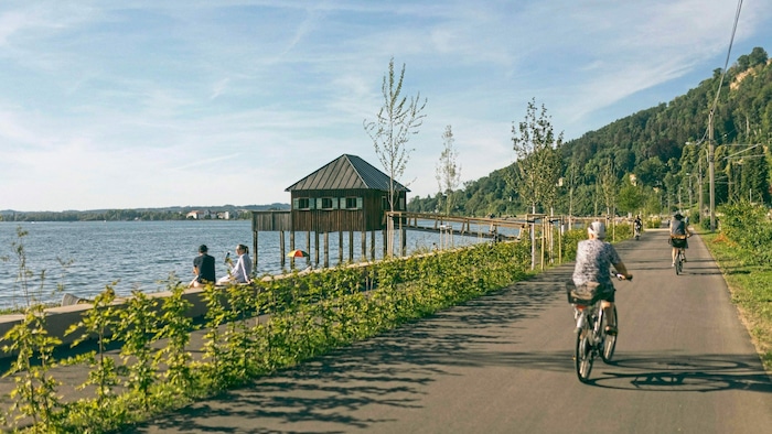 Der Bodensee-Radweg